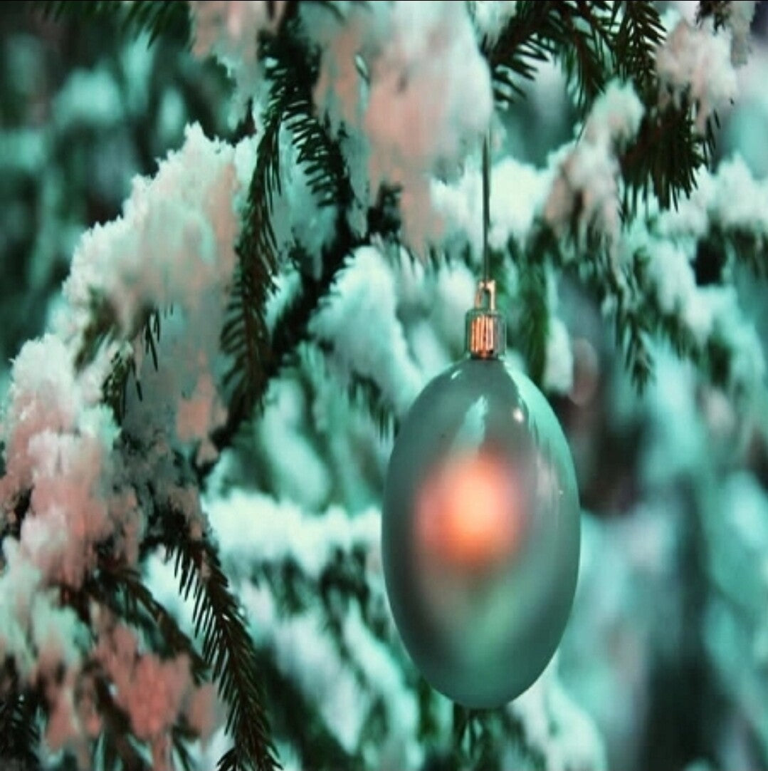 Vanilla Bean Noel Fragrance Oil