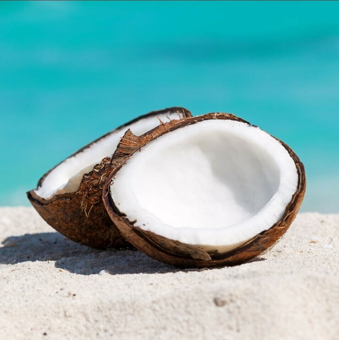 Coconut Fragrance Oil