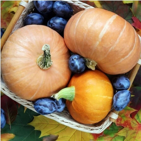Blueberry Pumpkin Patch Fragrance Oil