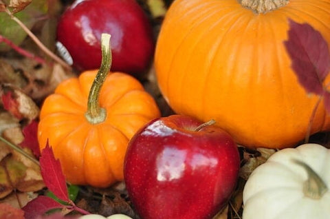 Pumpkin Apple Fragrance Oil