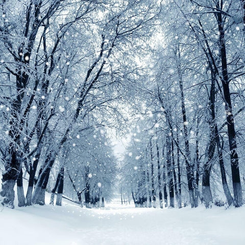 Winter Fragrance Oil