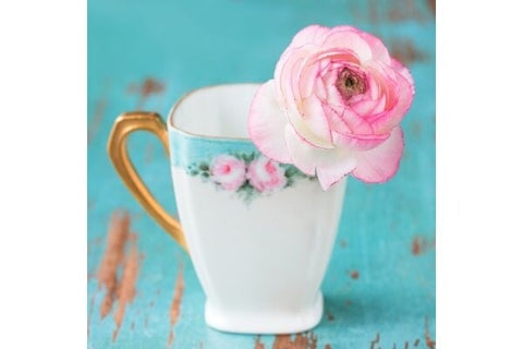 Sweet Grace Fragrance Oil