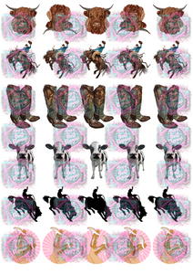 Exclusive Freshie Decal Sheet- Western Mix