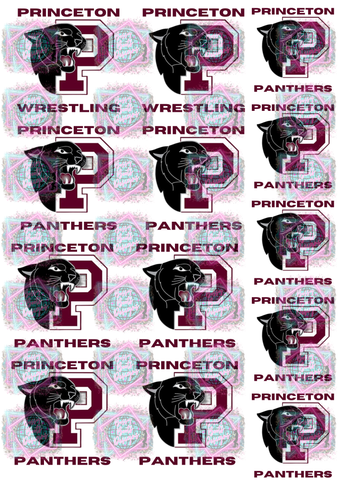 Exclusive Freshie Decal Sheet- Princeton Panthers/Wrestling