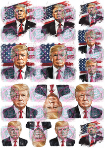 Exclusive Freshie Decal Sheet- Trump 2