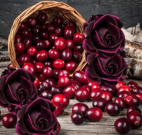 Cranberry Rose Fragrance Oil